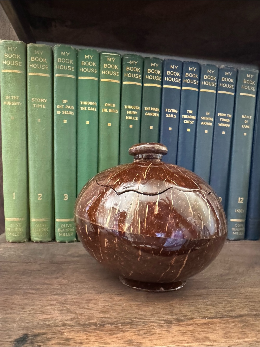 Coconut Shell Lidded Trinket Box Handmade Vietnam Brown Boho Organic Decor